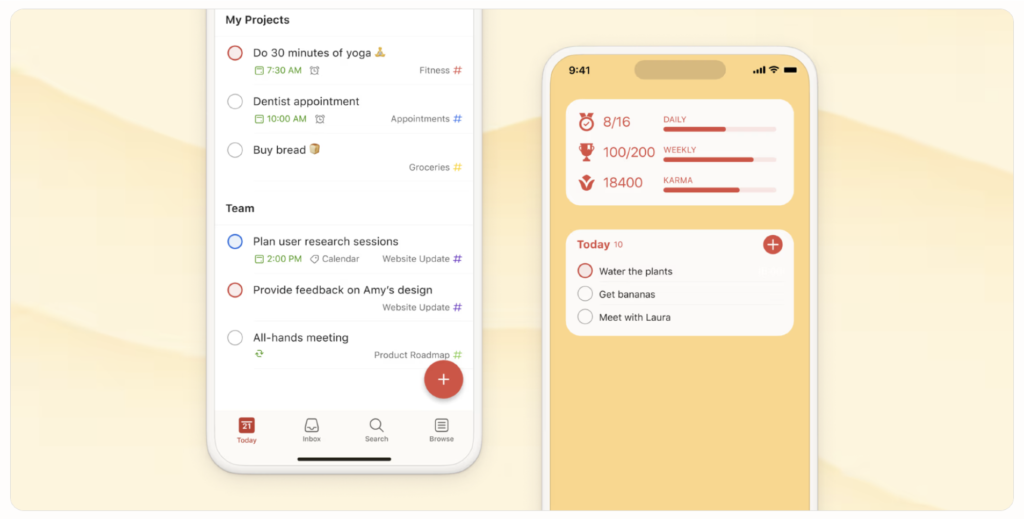 TickTick vs Todoist: Todoist task management